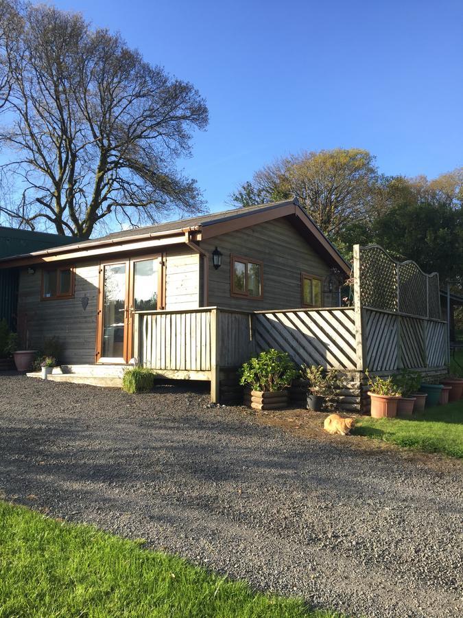 Swansea Log Cabin Pontardawe Exterior photo